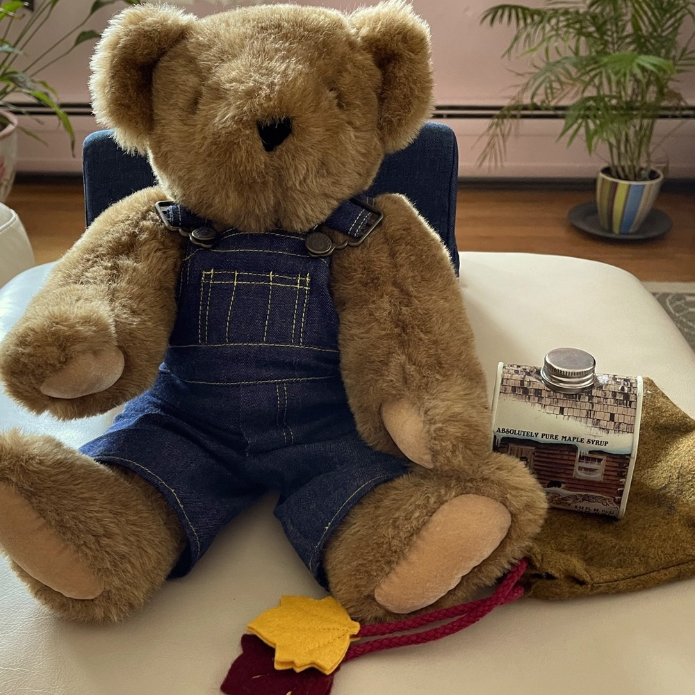 Teddy bear from Vermont Teddy Bear Co.